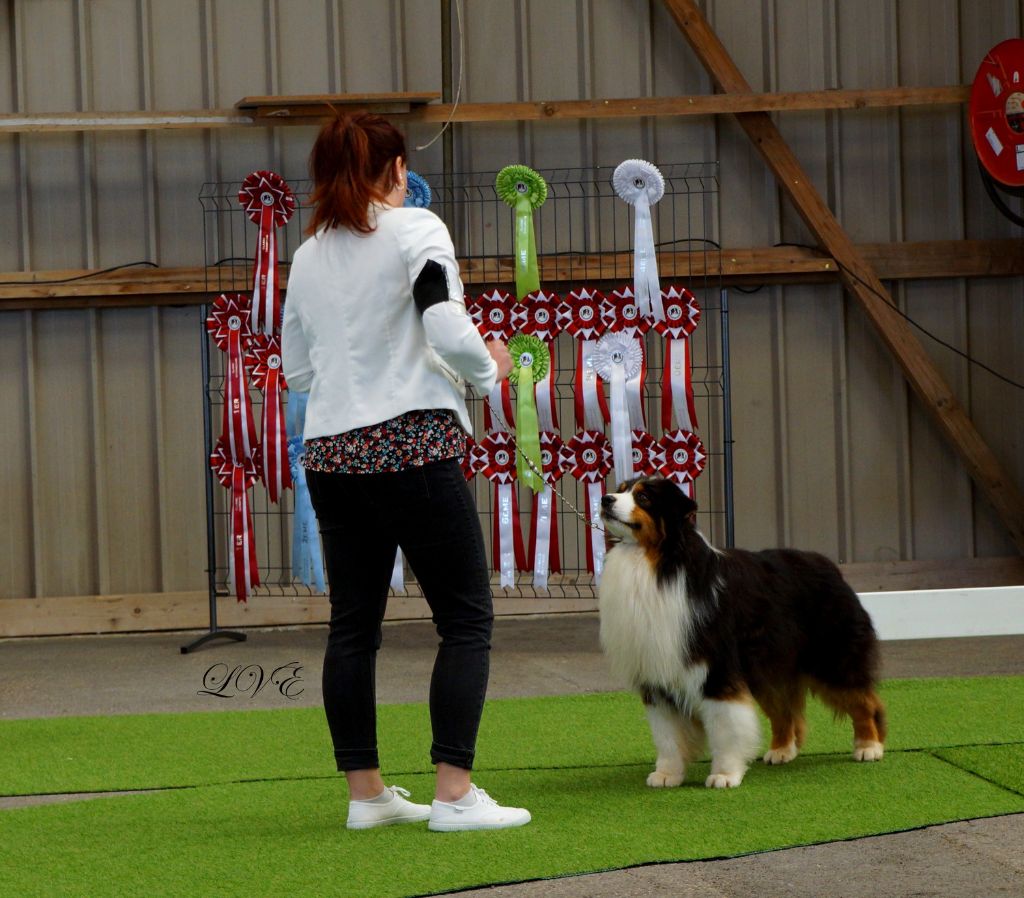 CH. So what du glacier des pandas