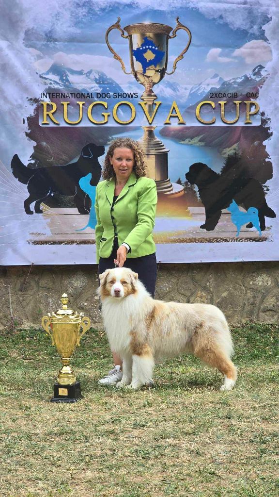 CH. Aimed money heist native tongue