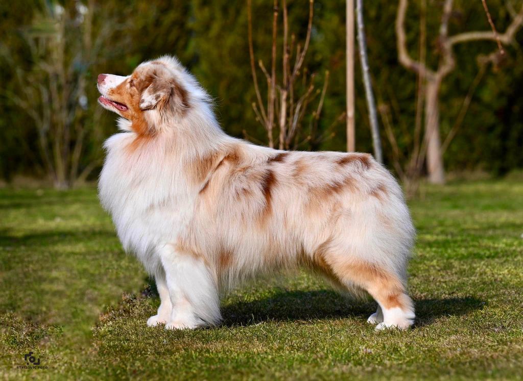 Publication : De La Vallée D'eska