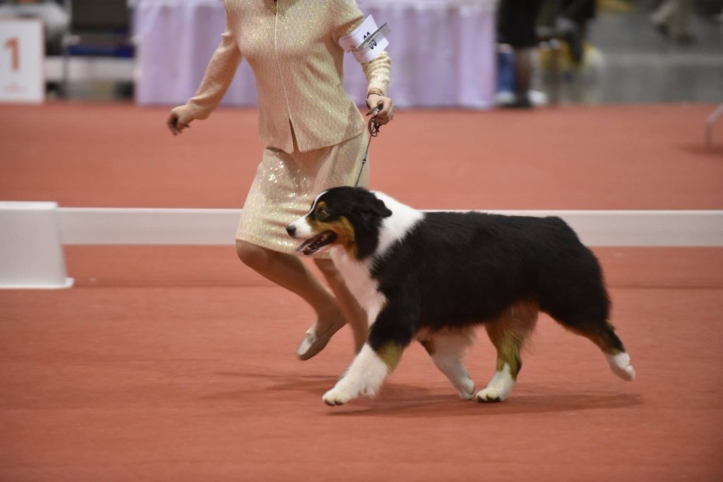 Publication : De La Vallée D'eska