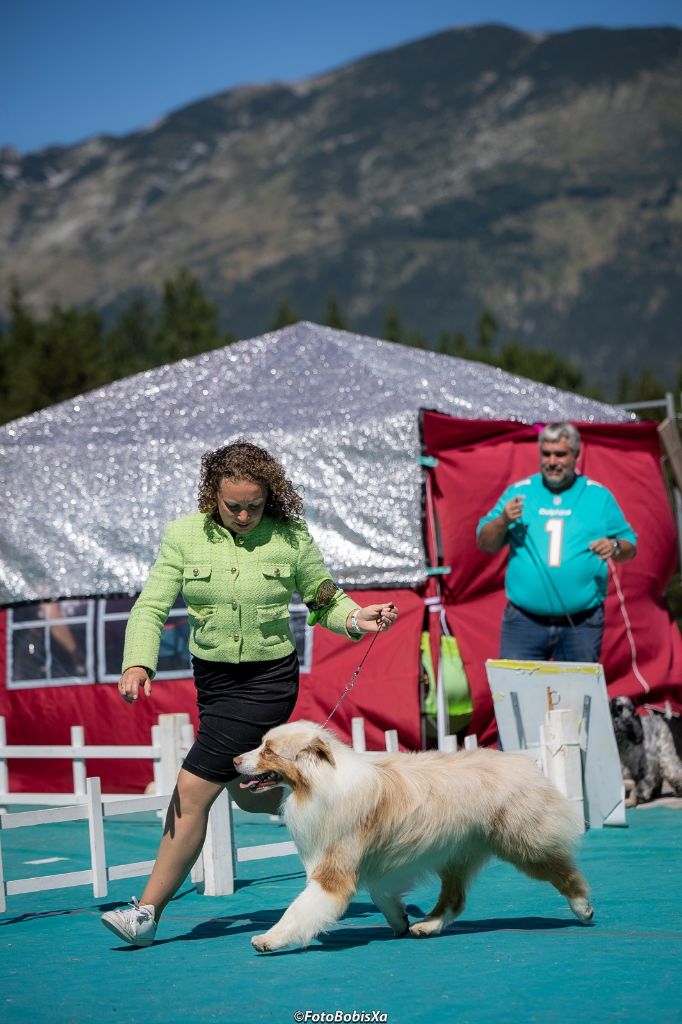 CH. Aimed money heist native tongue