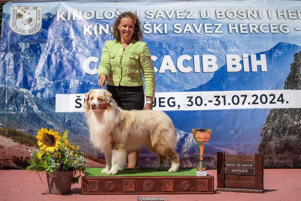 CH. Aimed money heist native tongue