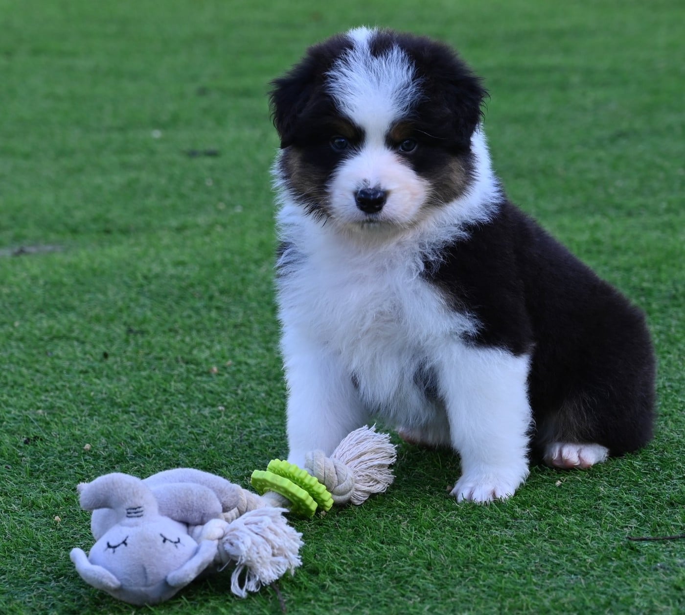 A l'essentiel de la Vallée d'Eska