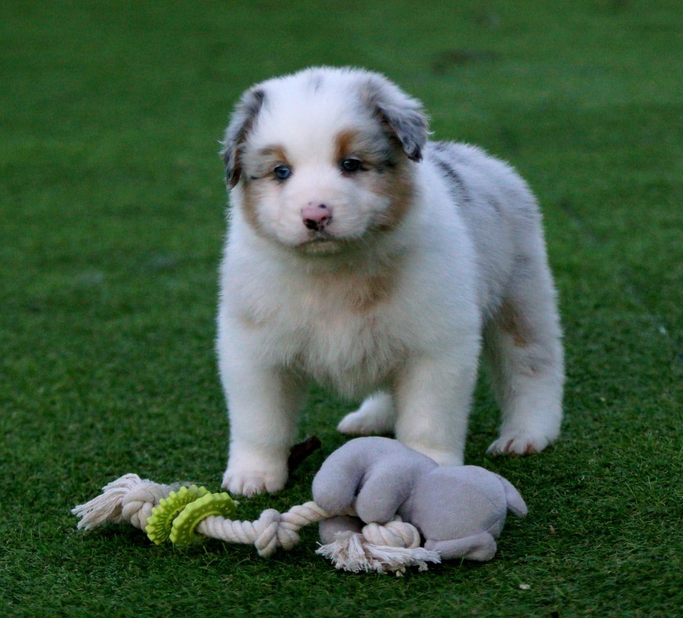 A contre courant de la Vallée d'Eska