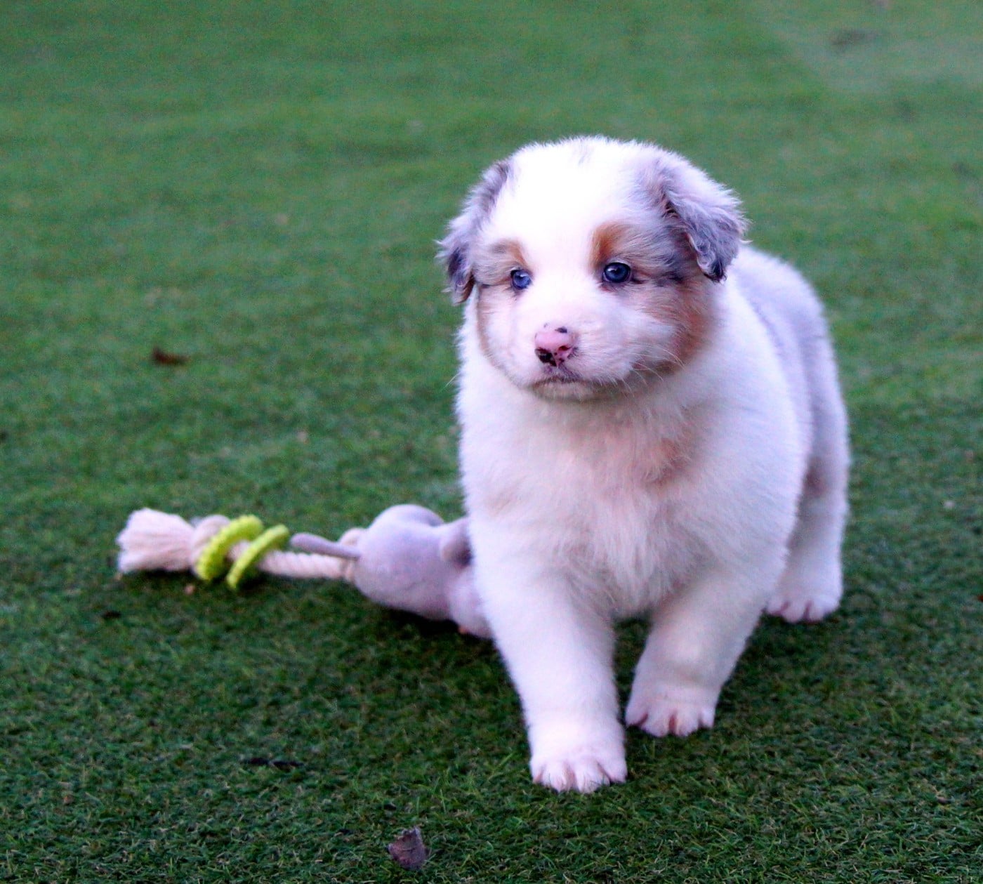 A contre courant de la Vallée d'Eska