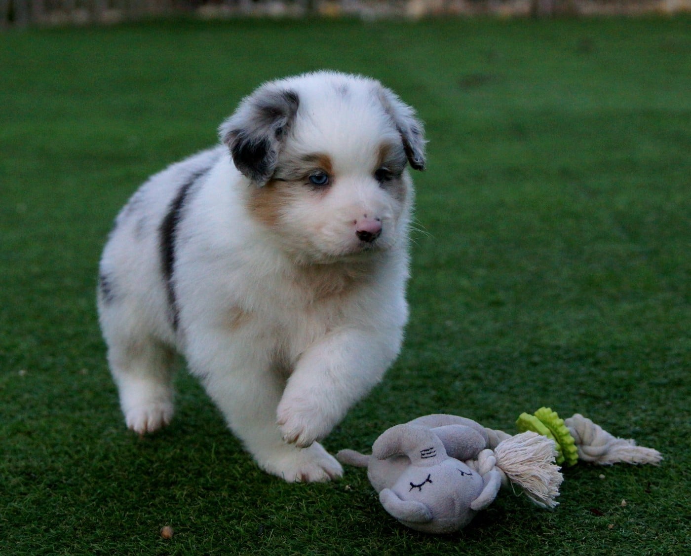 A contre courant de la Vallée d'Eska