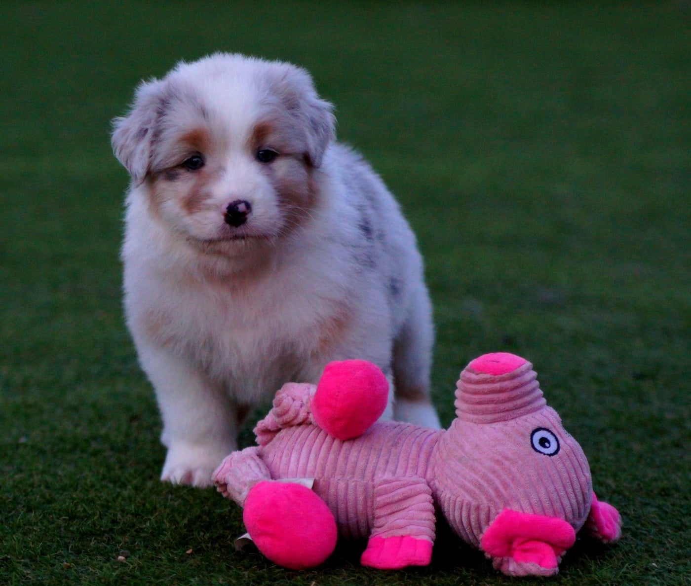 A pas feutrés de la Vallée d'Eska