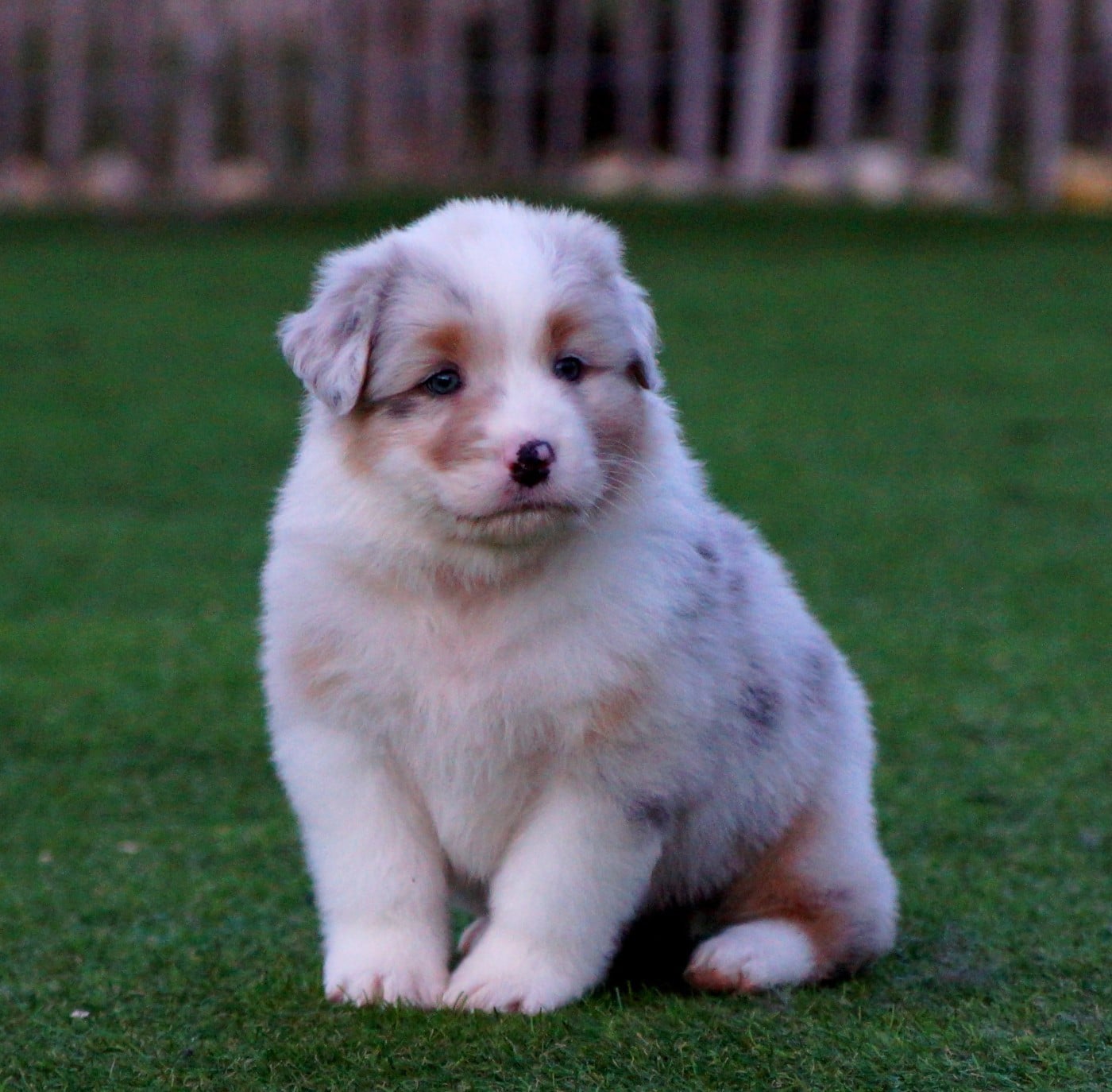 A pas feutrés de la Vallée d'Eska