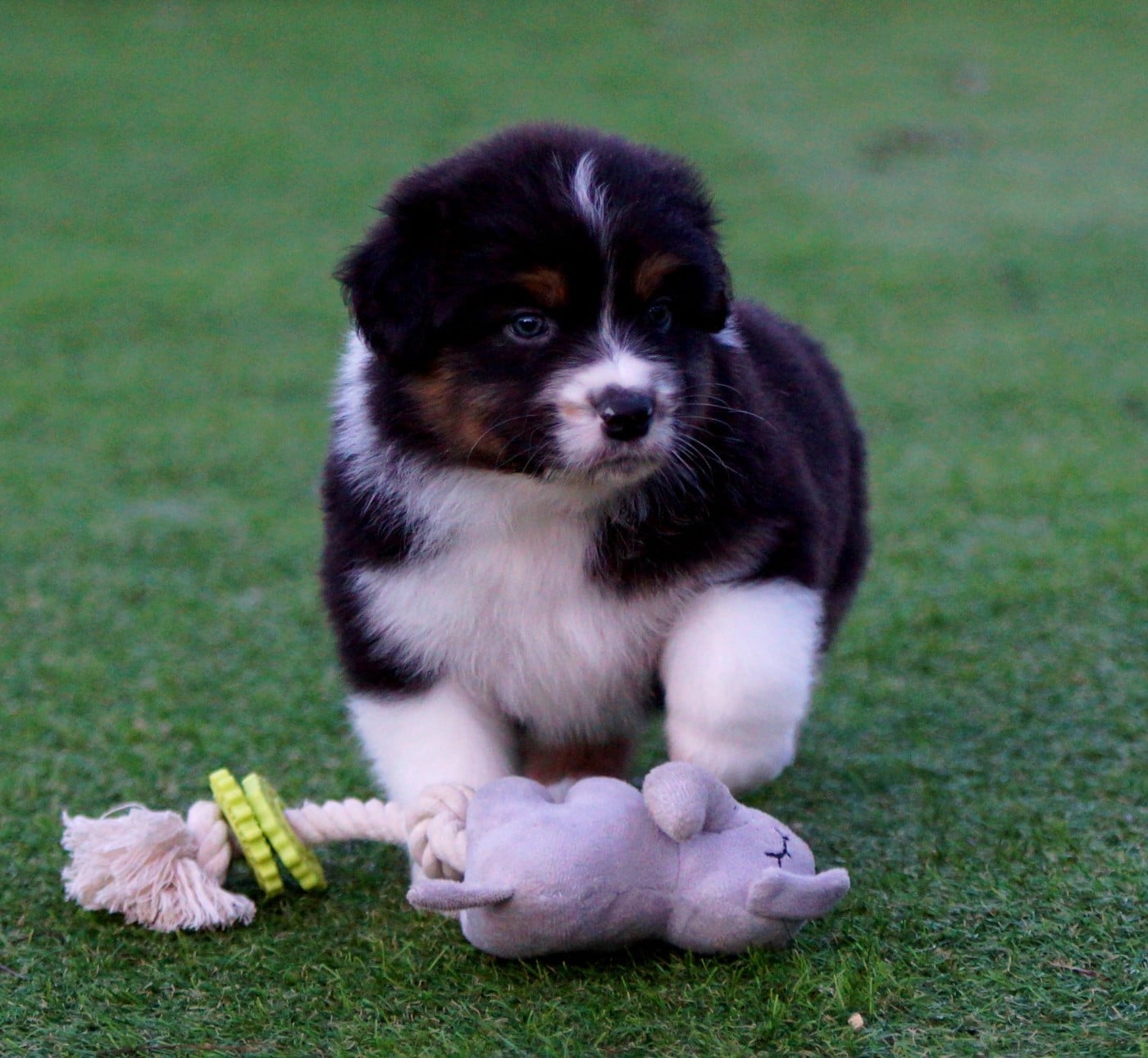A l'évidence de la Vallée d'Eska