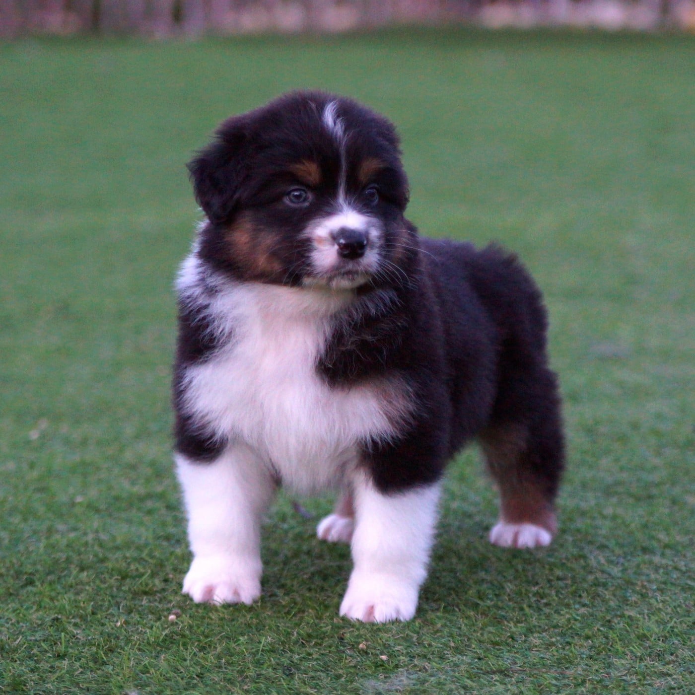 A l'évidence de la Vallée d'Eska