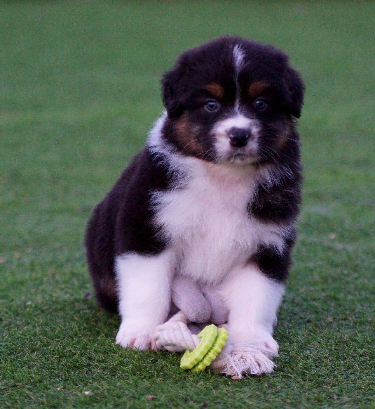 A l'évidence de la Vallée d'Eska