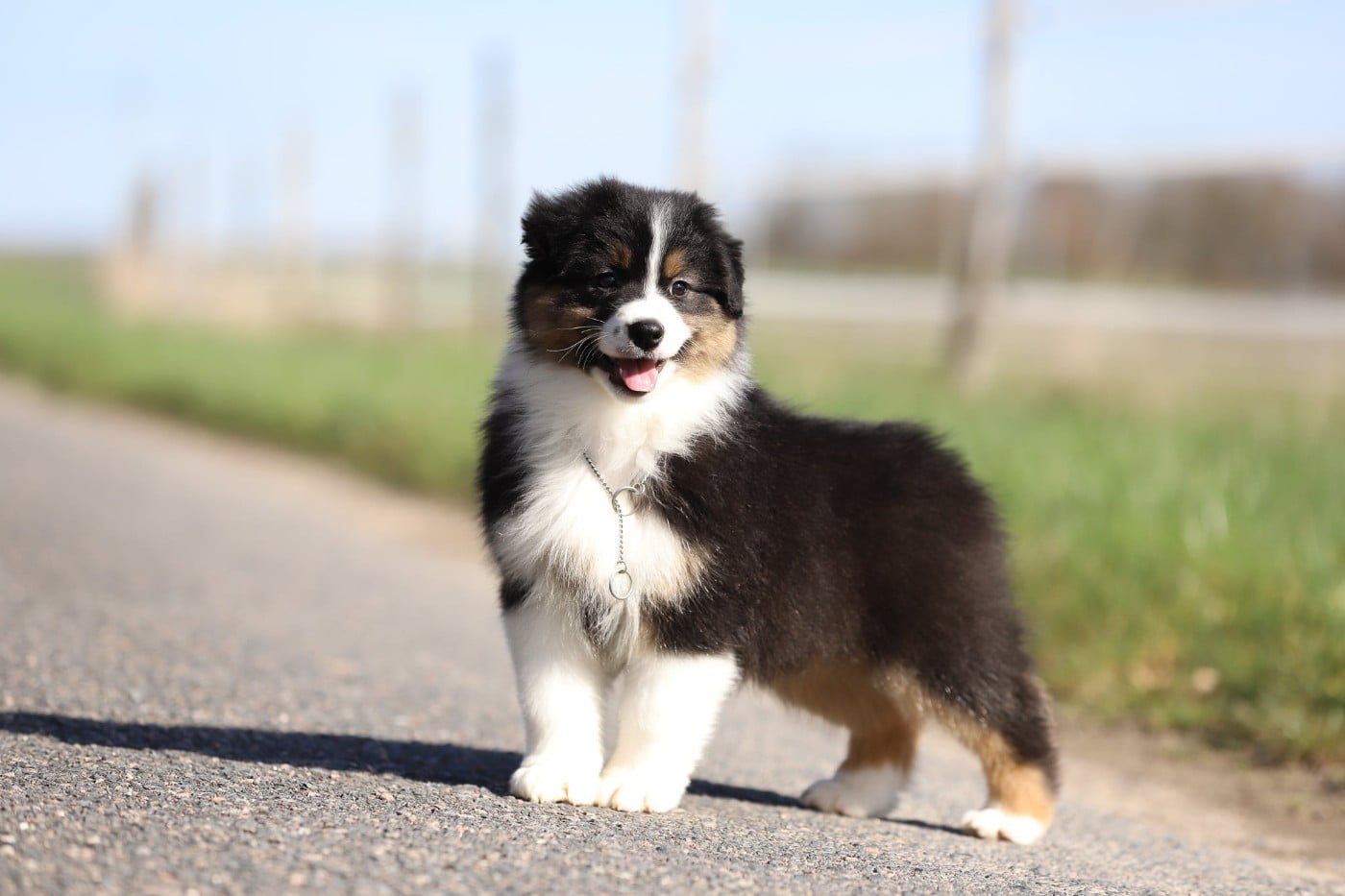 Accord parfait de la Vallée d'Eska