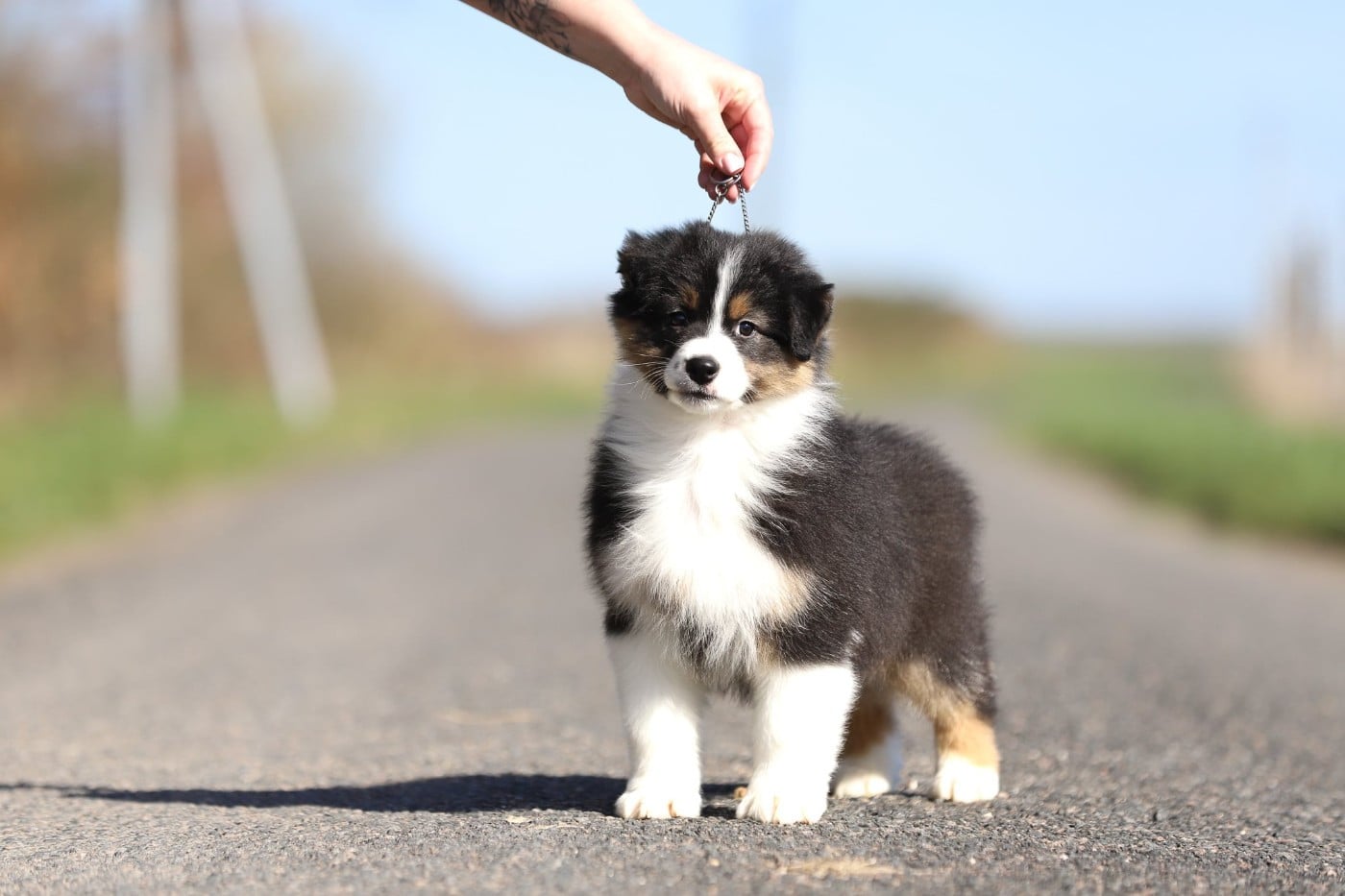 Accord parfait de la Vallée d'Eska