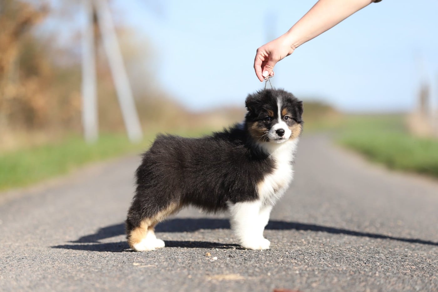 Accord parfait de la Vallée d'Eska