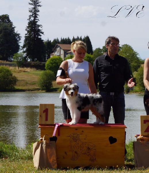 My royal highness De La Vallée D'eska - 1er Très prometteur / BOB Baby / Trophée espoir