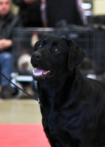 Publication : Du Petit Vey Auteur : Gaelle Pasco