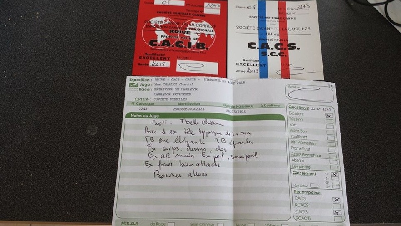 Publication : Du Petit Vey Auteur : Gaelle Pasco