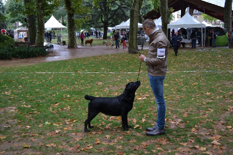 Publication : Du Petit Vey Auteur : Gaelle Pasco