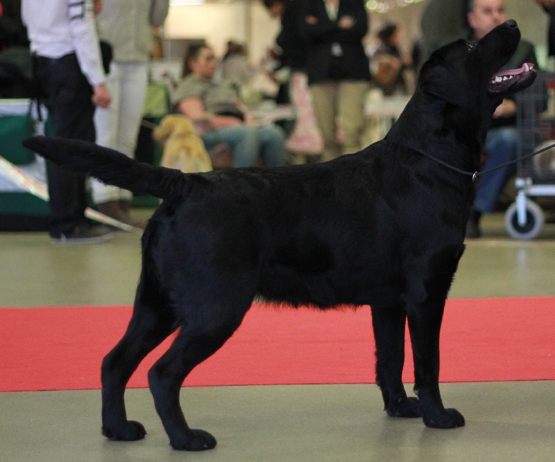 Publication : Du Petit Vey Auteur : Gaelle Pasco