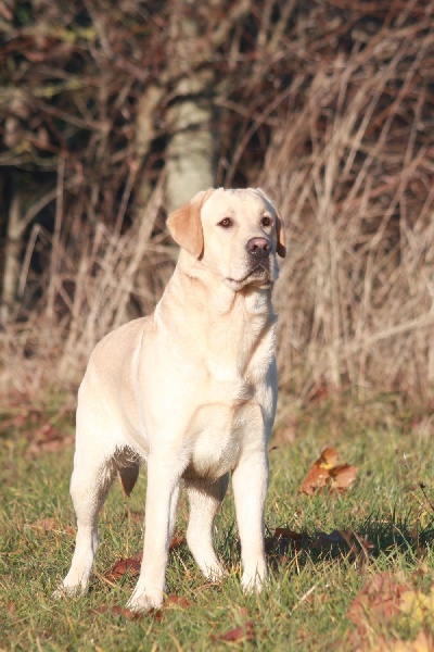 Auteur : Mr Goukassow