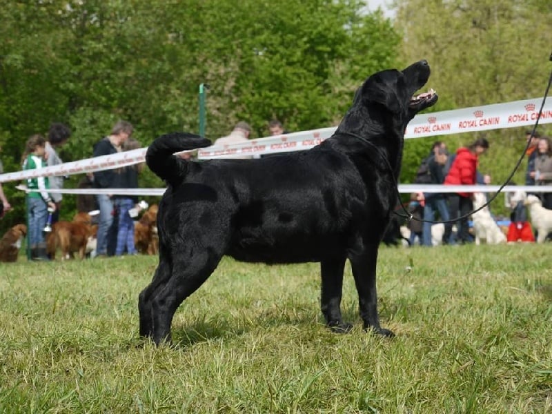 Publication : Du Petit Vey Auteur : Gaelle Pasco