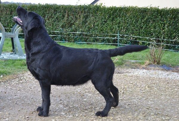 Publication : Du Petit Vey Auteur : Gaelle Pasco