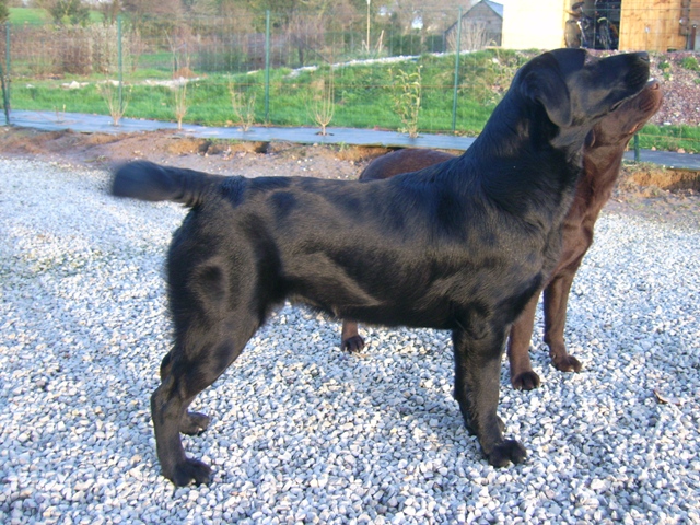 Publication : Du Petit Vey Auteur : Gaelle Pasco