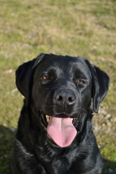 Publication : Du Petit Vey Auteur : Gaelle Pasco