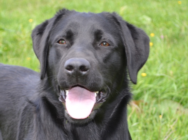 Publication : Du Petit Vey Auteur : Gaelle Pasco