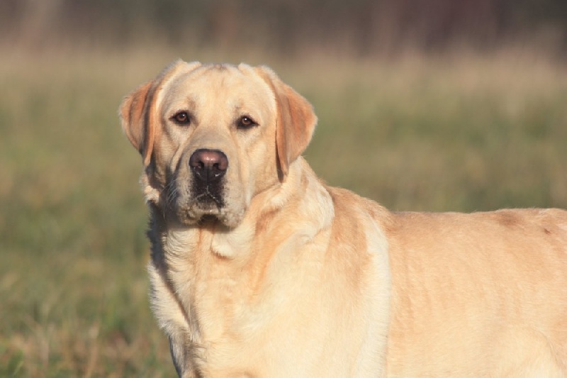 Auteur : Mr Goukassow