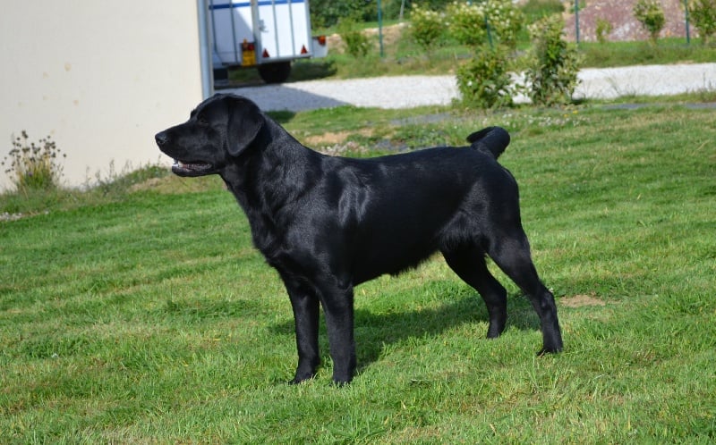 Publication : Du Petit Vey Auteur : Gaelle Pasco