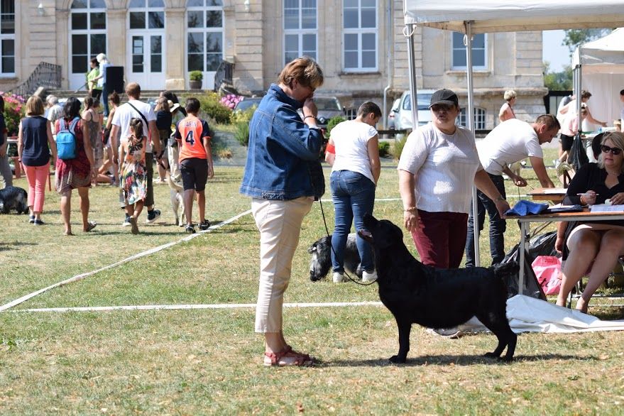 Funky music du Castel du Tremblay - 1ère Excellent - Classe Vétéran - Meilleur Vétéran