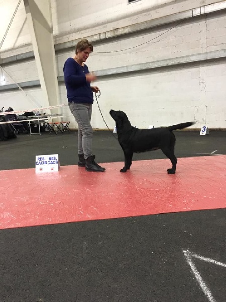 Funky music du Castel du Tremblay - RCACS RCACIB