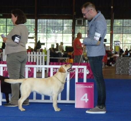 CH. Mélusine the fairy Du Petit Vey - 4ème excellent - classe jeune