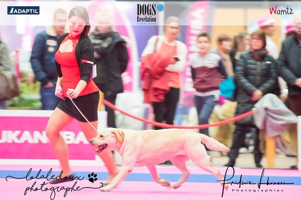 CH. Mélusine the fairy Du Petit Vey - 4ème excellent classe intermédiaire