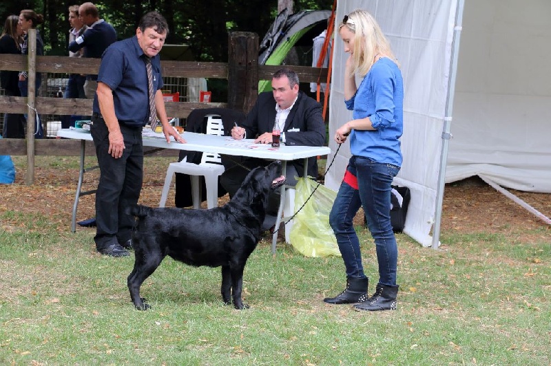 Funky music du Castel du Tremblay - Excellent