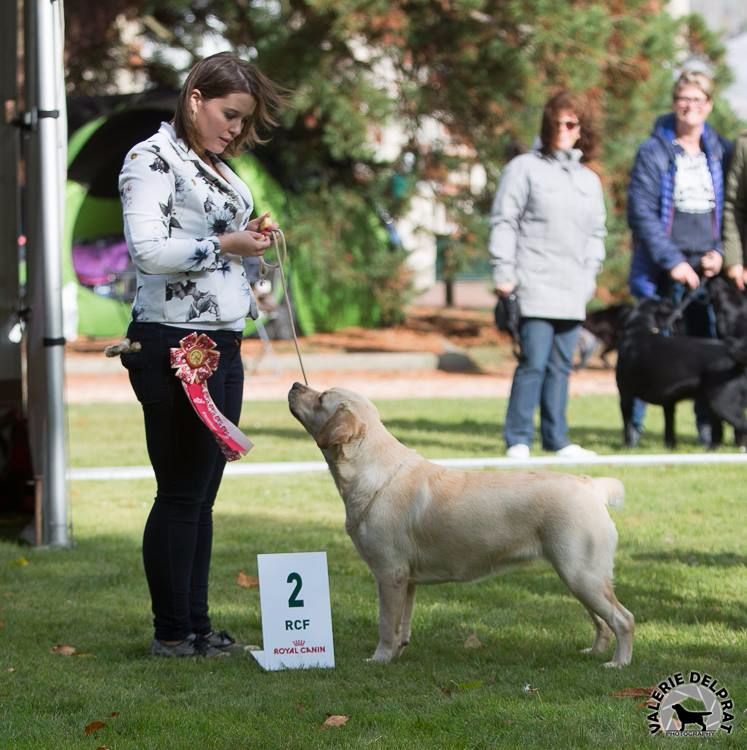 CH. Mélusine the fairy Du Petit Vey - 2ème Excellent classe Intermédiaire