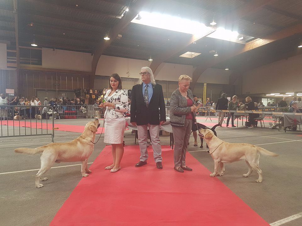 CH. Mélusine the fairy Du Petit Vey - CACS CACIB