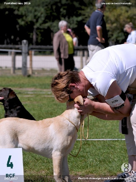 CH. Mélusine the fairy Du Petit Vey - 4ème Excellent - Classe Baby