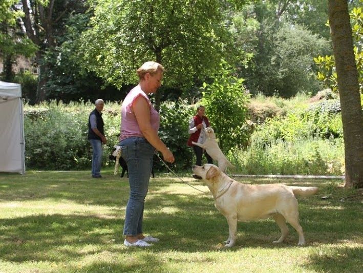 CH. Mélusine the fairy Du Petit Vey - 2ème excellent classe ouverte