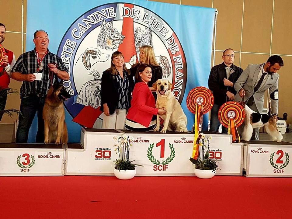 CH. Mélusine the fairy Du Petit Vey - CACS BOG BIS