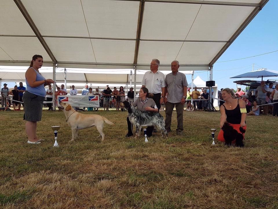 CH. Mélusine the fairy Du Petit Vey - BOB jeune BOG BIS