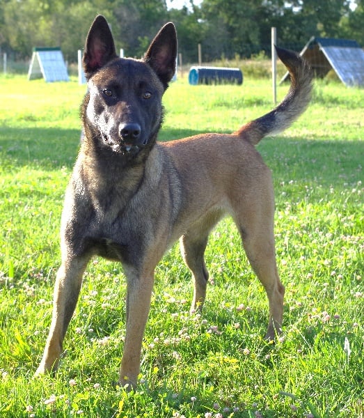 Publication : Des Plaines De Garonne Auteur : Tilla