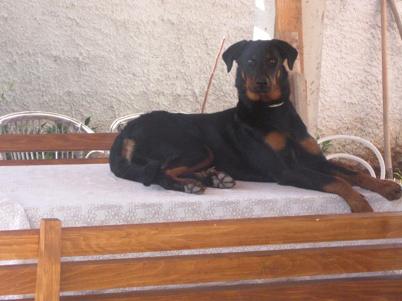 Publication : De Trappist