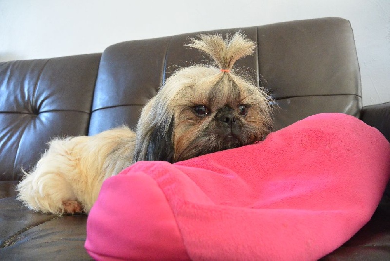 Publication : Du Royaume De Sacrés