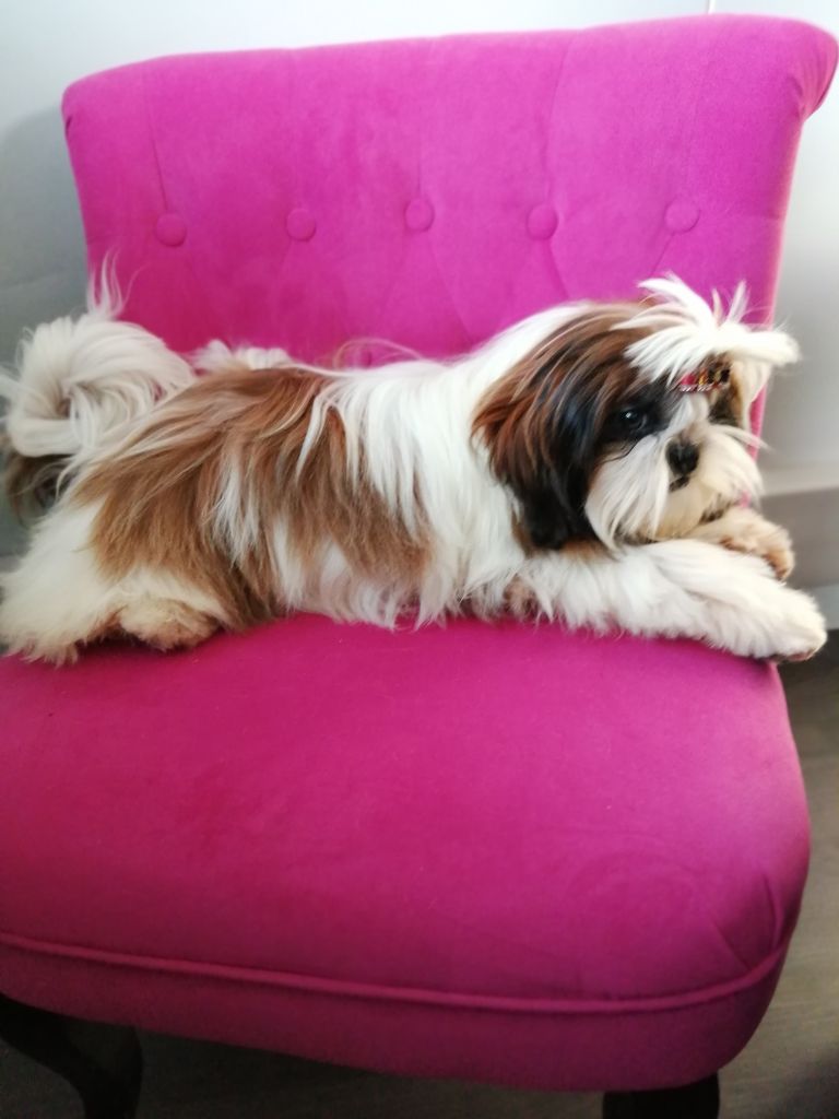 Publication : Du Royaume De Sacrés