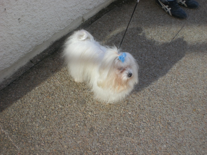 Publication : Du Royaume De Sacrés