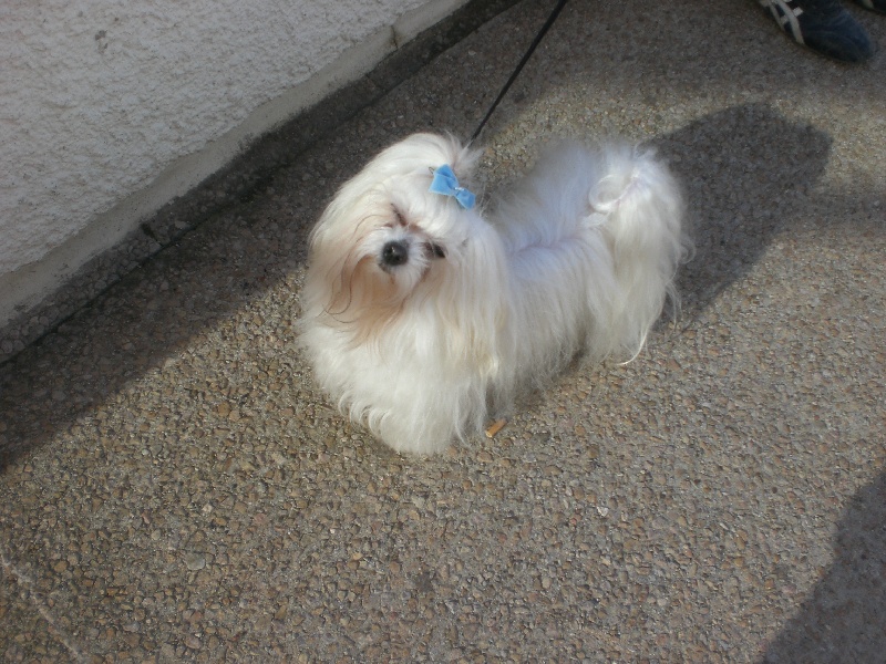 Publication : Du Royaume De Sacrés