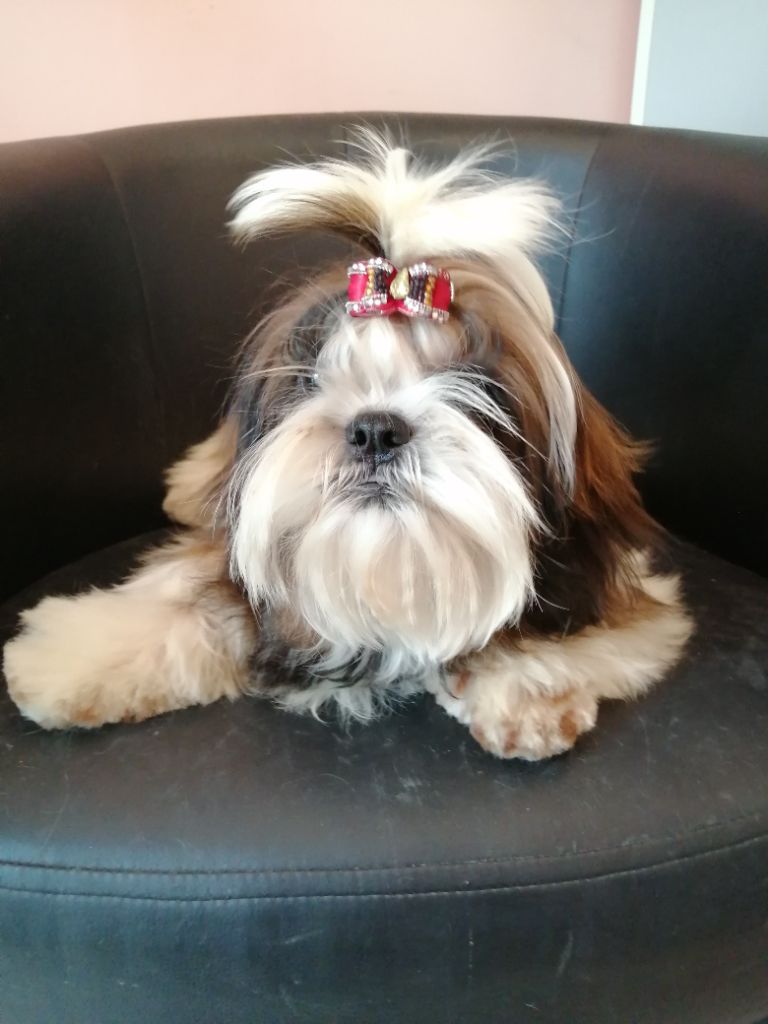 Publication : Du Royaume De Sacrés