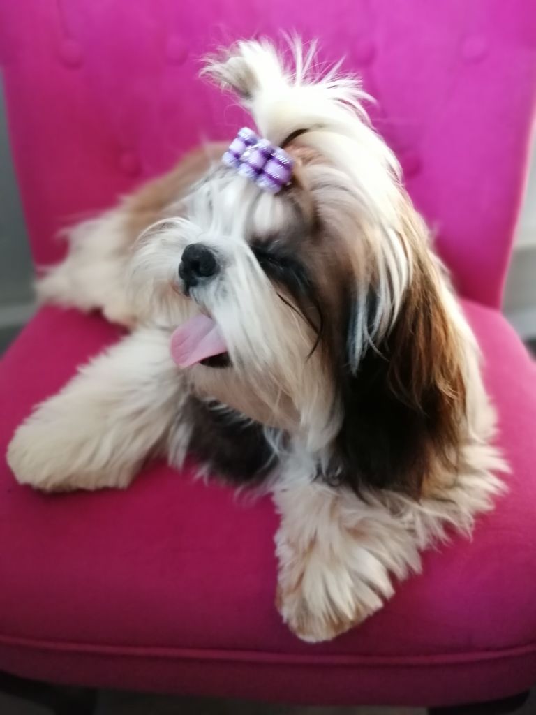 Publication : Du Royaume De Sacrés